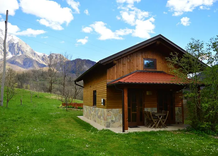 Sleeping With The Bees Kozjak