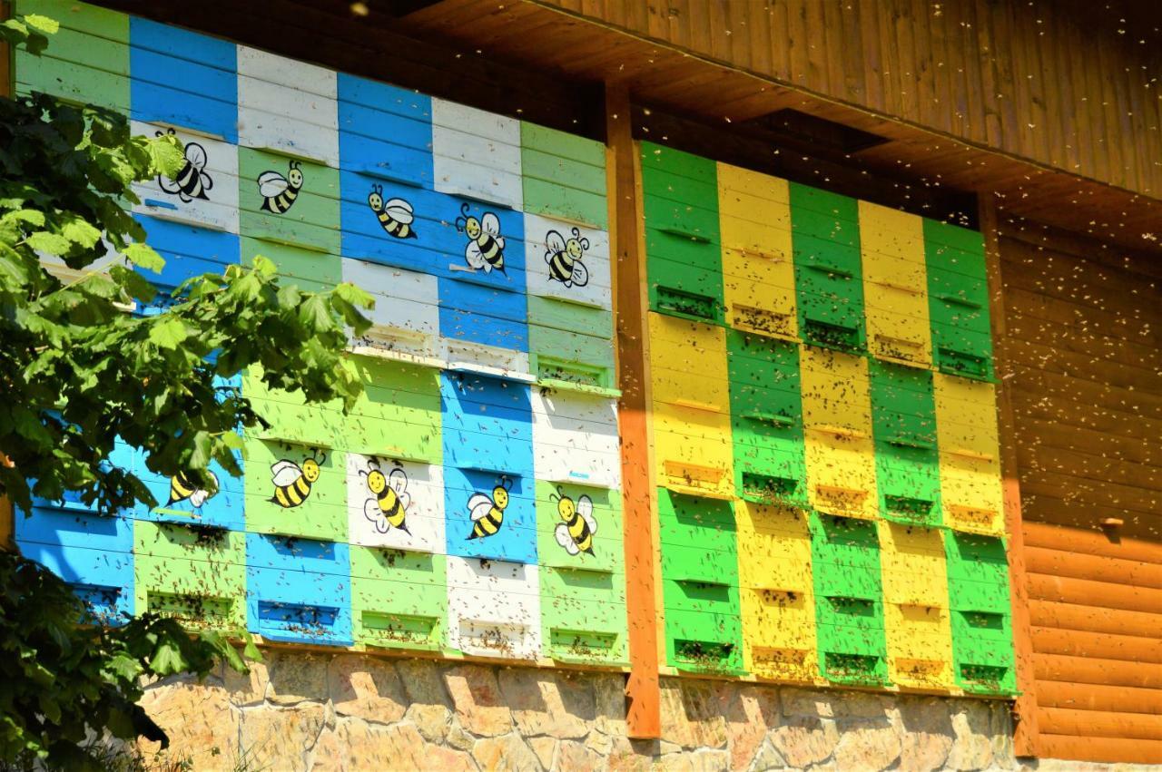 Nyaraló Sleeping With The Bees Kozjak *